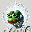 Mind of Pepe