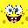 Sponge