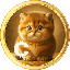 Baby Cat Coin BABYCAT логотип