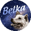 Belka BLK ロゴ