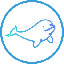Beluga Protocol BELA 심벌 마크