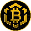 Bitcoin BSC BTCBSC ロゴ