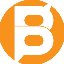 Bitcoin Pay BTCPAY Logo