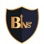 Bitsense BINS логотип
