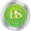BitSoar BSR Logotipo