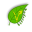 BitVegan VEG Logotipo