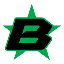 BlockStar BST логотип