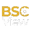 BSCView BSCV логотип
