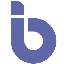 BSocial BINS логотип