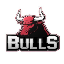 BULLS BULLS Logo