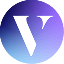 VINCI VINCI Logo