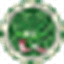 CannaCoin CCN логотип