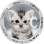 CatCoin Inu CAT ロゴ