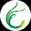 Chives coin XCC Logo
