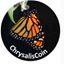 Chrysalis Coin CHW ロゴ