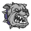 Crazy DOGE CRAZYDOGE логотип