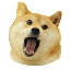 Doge Eat Doge OMNOM Logotipo