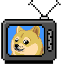 Doge-TV $DGTV Logotipo