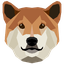DogeCash DOGEC ロゴ