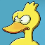 Ducks DUCKS Logo