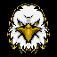 Eagle Vision EVI логотип