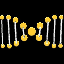 extraDNA XDNA ロゴ