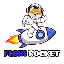 Floki Rocket RLOKI Logo