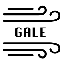 Gale Network GALE 심벌 마크