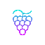 Grape Network GRAPE логотип