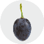 Grape GRAPE логотип