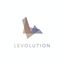Levolution LEVL Logo