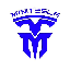 MiniTesla MINITESLA логотип