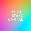 Multi-Stake Capital MSC 심벌 마크