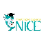 N1CE N1CE Logo