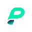 Page Network PGX Logo