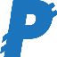 PayNet Coin PAYN ロゴ