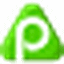PayPeer PAYP ロゴ