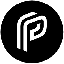PayUSD PAYUSD Logotipo