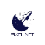 PIXEL NFT PNT Logotipo