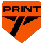 Print Mining PRINT Logotipo