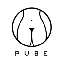 Pube finance PUBE логотип