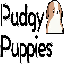 Pudgy Pups Club (New) PUPS 심벌 마크