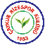 Rizespor Token RIZE логотип