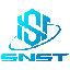 Smooth Network Solutions Token SNST Logo