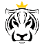 Tiger King Coin TKING ロゴ