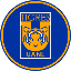 Tigres Fan Token TIGRES Logo