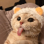 Tongue Cat LUIS ロゴ