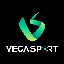 Vega sport VEGA ロゴ
