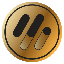 VIIIDA Gold AUV ロゴ