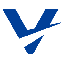VROOMGO VRGX Logo
